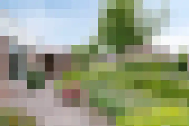 Pasakker 37 Someren thumbnail 27