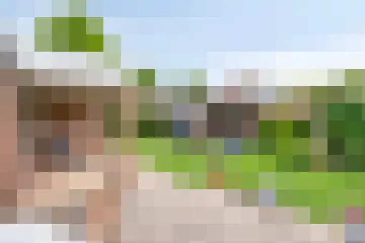 Pasakker 37 Someren thumbnail 32
