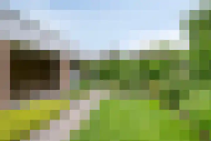 Pasakker 37 Someren thumbnail 33