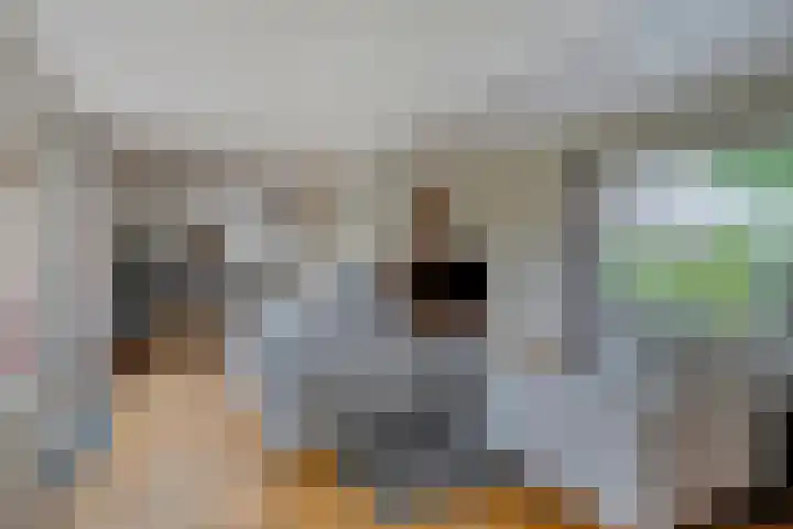 Pasakker 37 Someren thumbnail 7