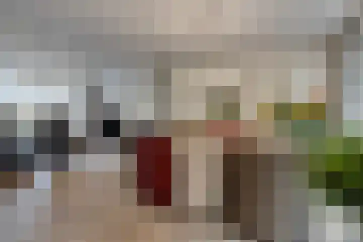 Pasakker 44 Someren thumbnail 16