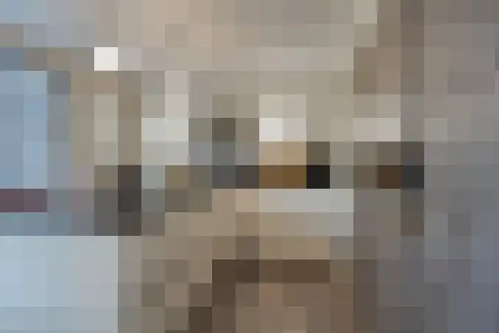Pasakker 44 Someren thumbnail 17