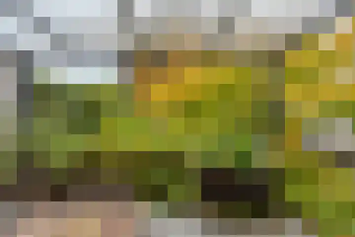 Pasakker 44 Someren thumbnail 33
