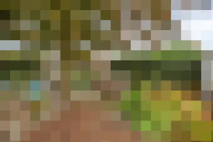 Pasakker 44 Someren thumbnail 34