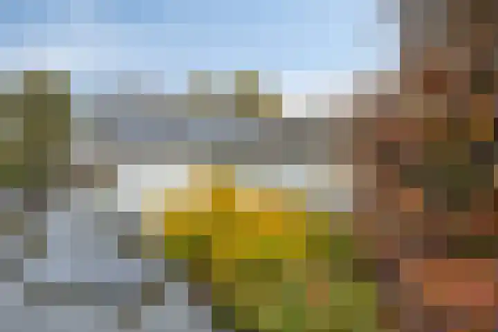 Pasakker 44 Someren thumbnail 37