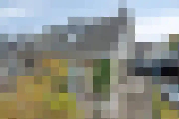 Pasakker 44 Someren thumbnail 6