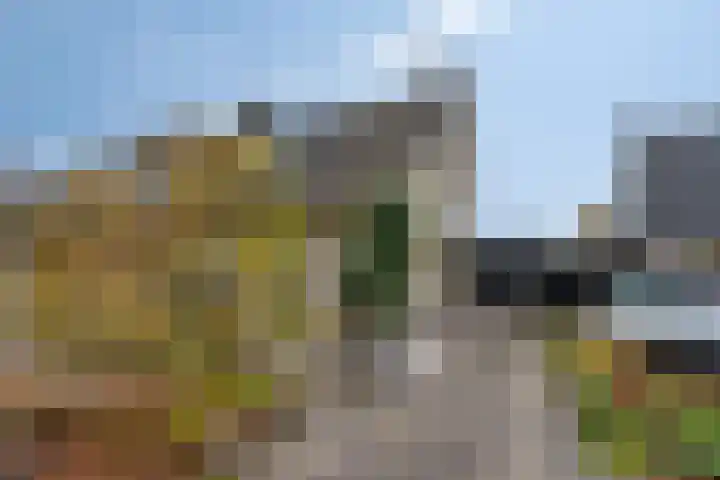 Pasakker 44 Someren thumbnail 8