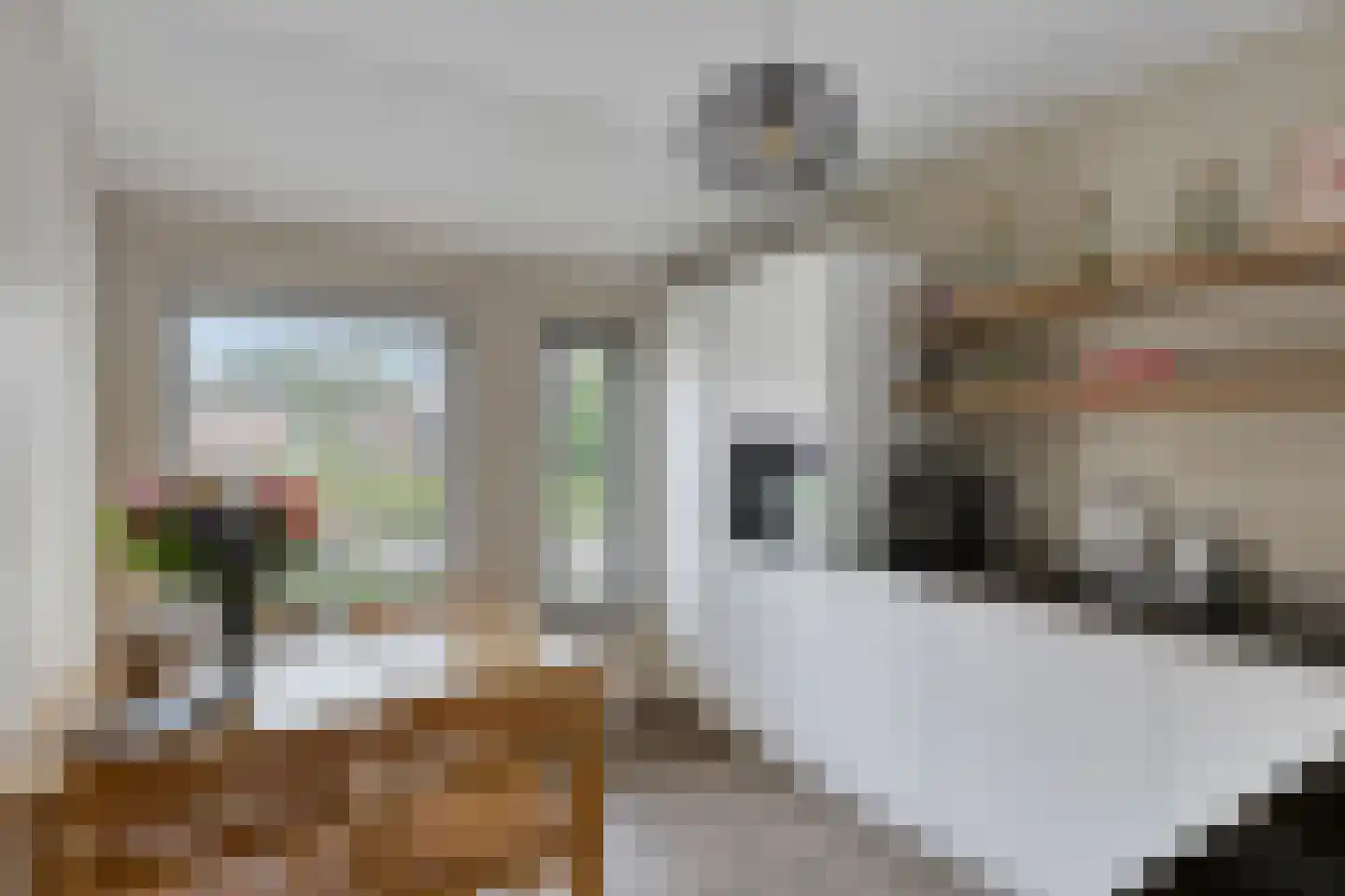 Pasakker 57 Someren thumbnail 11