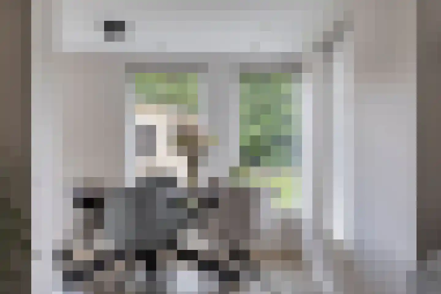 Pasakker 57 Someren thumbnail 18