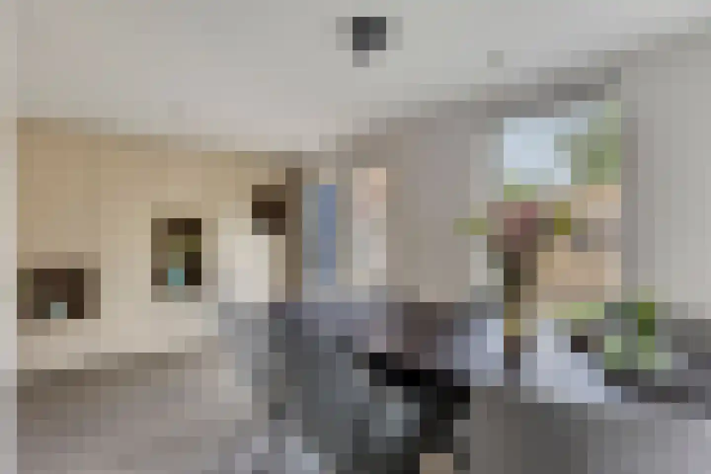 Pasakker 57 Someren thumbnail 19