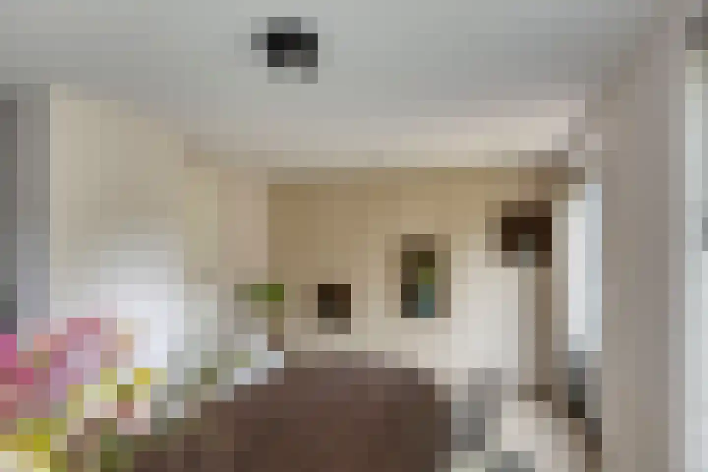 Pasakker 57 Someren thumbnail 20