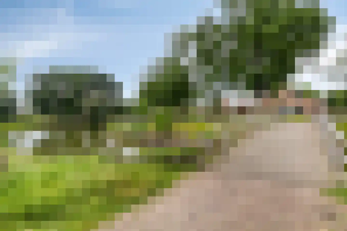 Pasakker 57 Someren thumbnail 40
