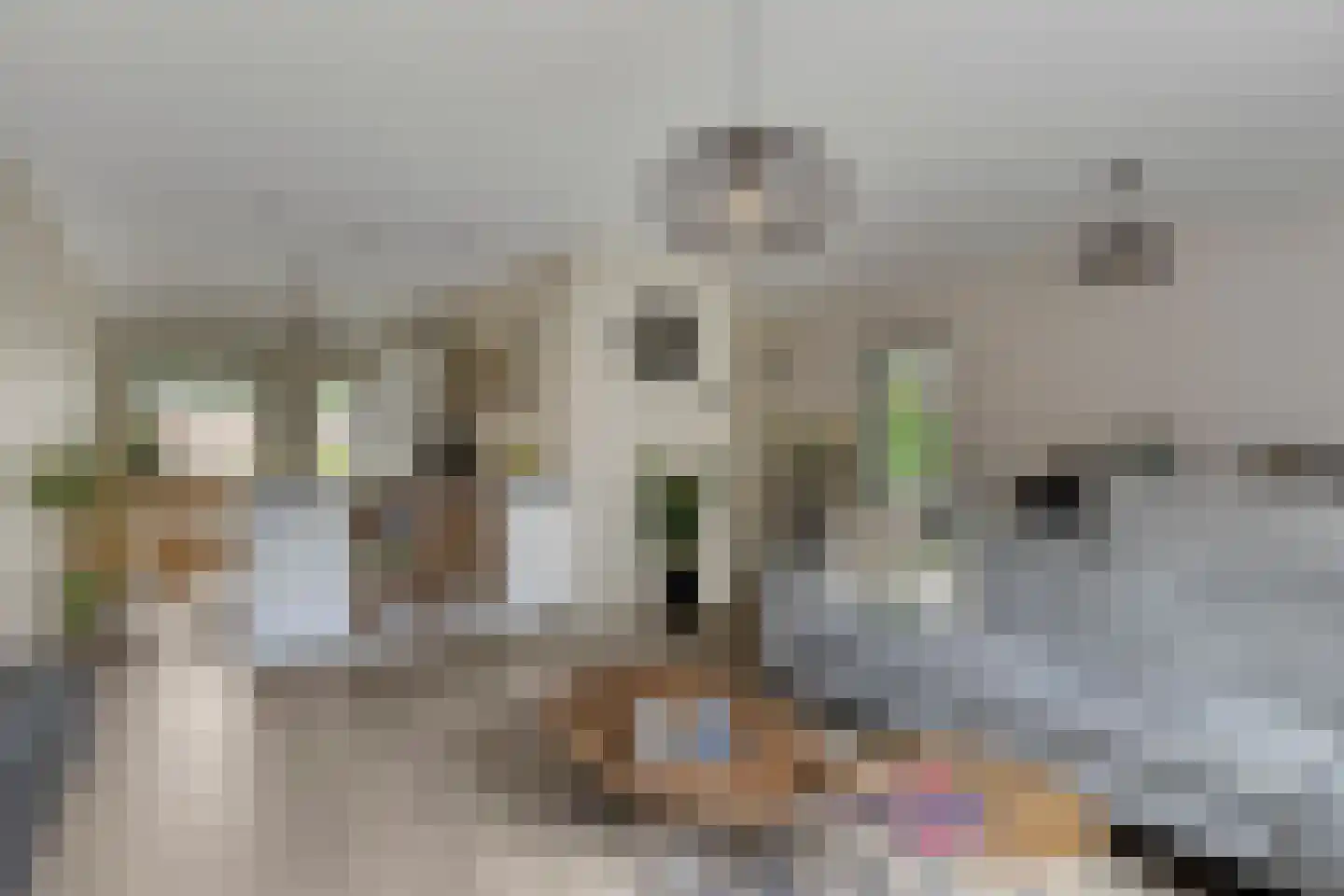 Pasakker 57 Someren thumbnail 9