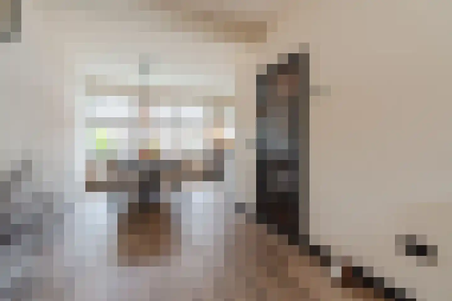 Pasakker 60 Someren thumbnail 10