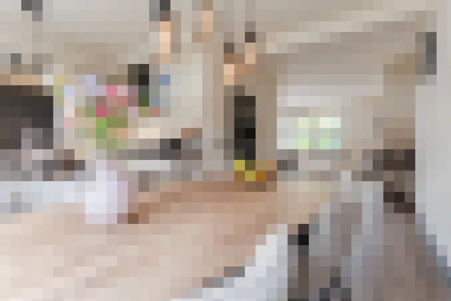 Pasakker 60 Someren thumbnail 11