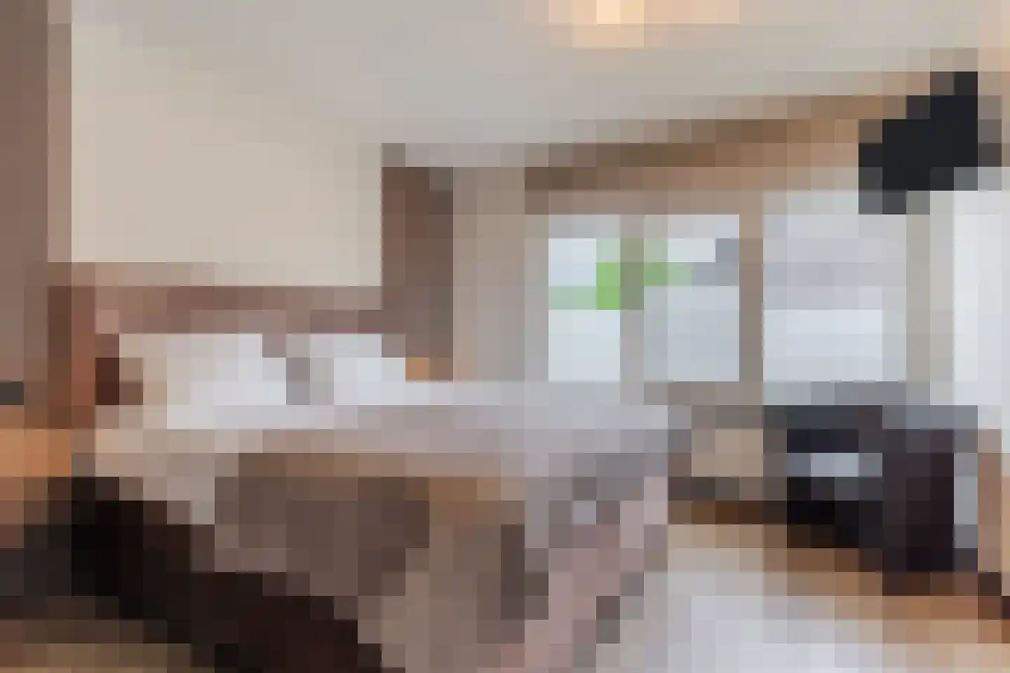 Pasakker 60 Someren thumbnail 18