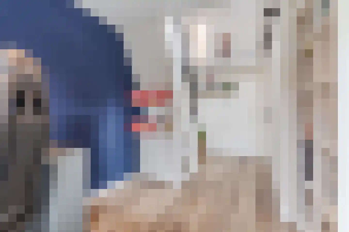 Pasakker 60 Someren thumbnail 24
