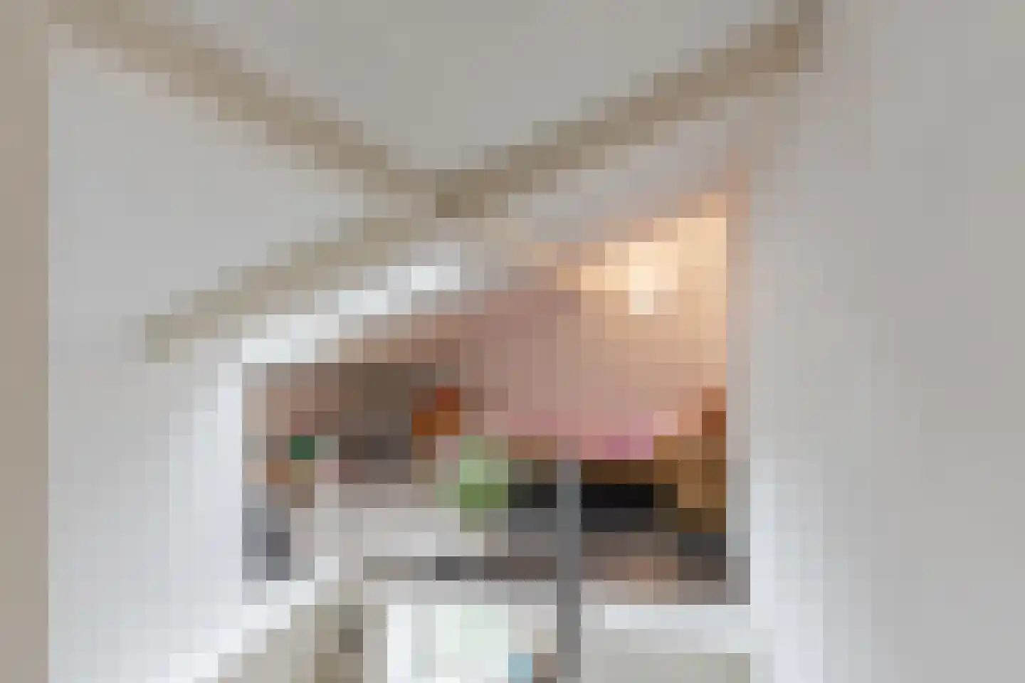 Pasakker 60 Someren thumbnail 25