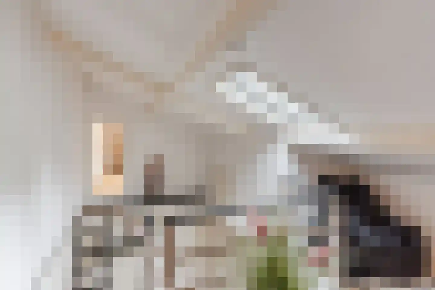 Pasakker 60 Someren thumbnail 28