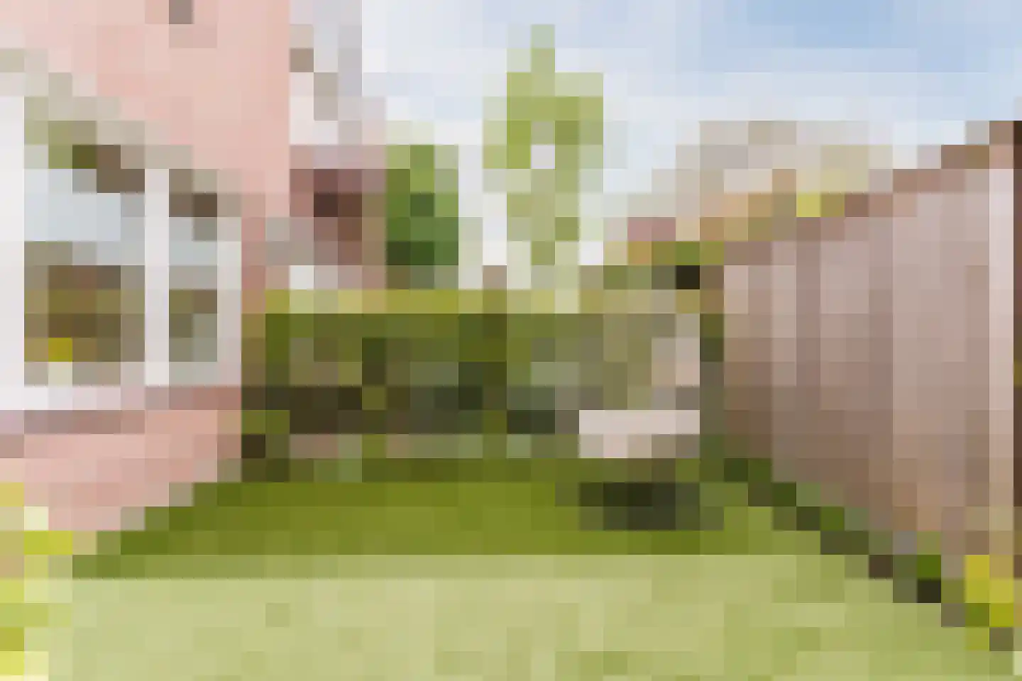 Pasakker 60 Someren thumbnail 29