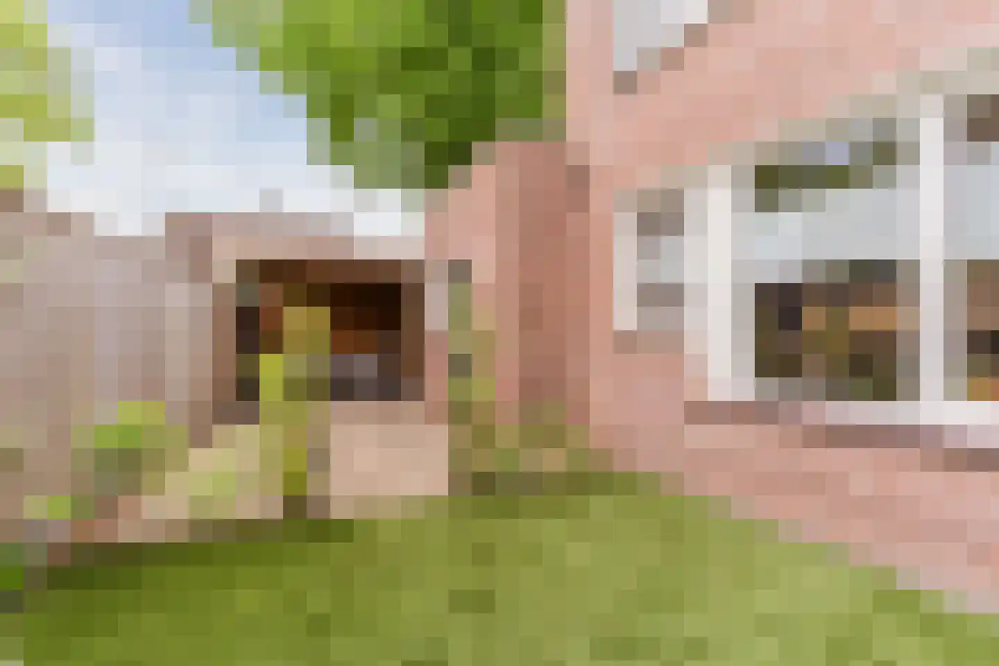 Pasakker 60 Someren thumbnail 30