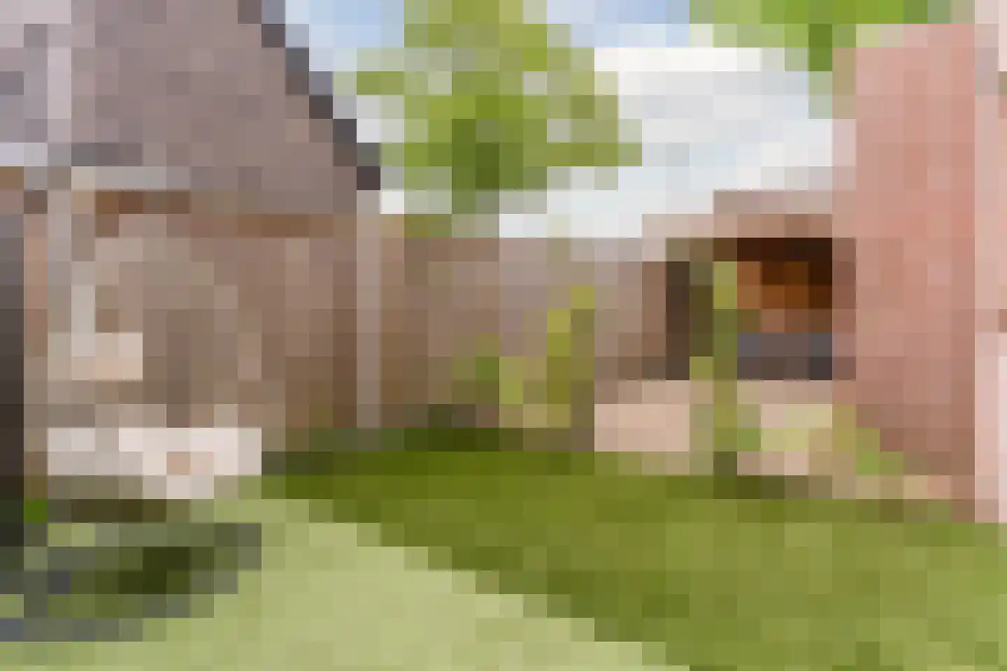 Pasakker 60 Someren thumbnail 31