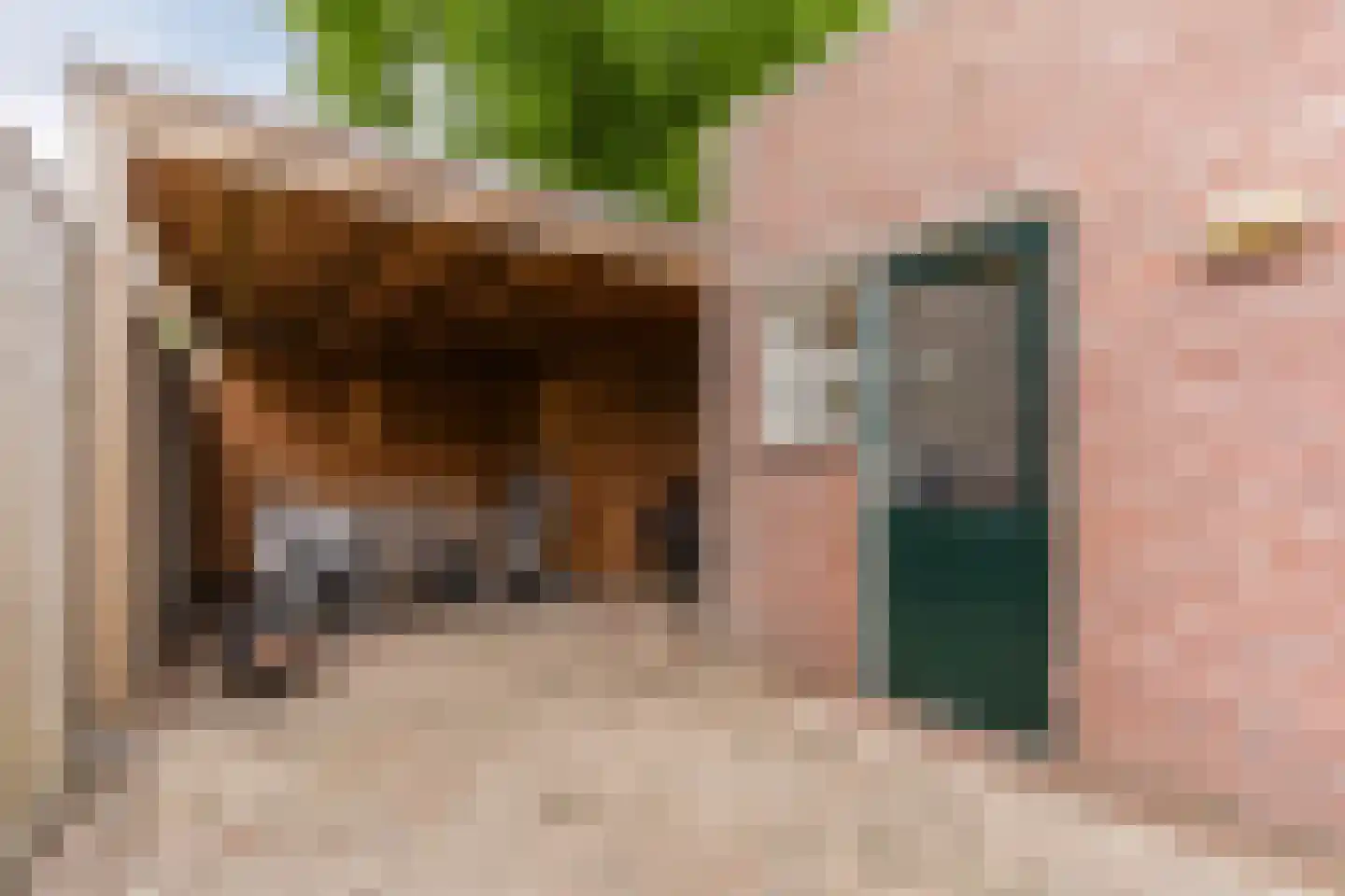 Pasakker 60 Someren thumbnail 32