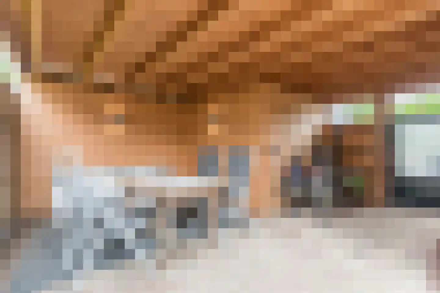 Pasakker 60 Someren thumbnail 34