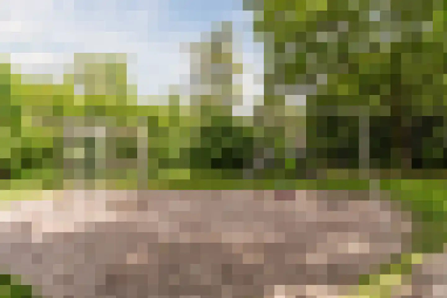 Pasakker 60 Someren thumbnail 36