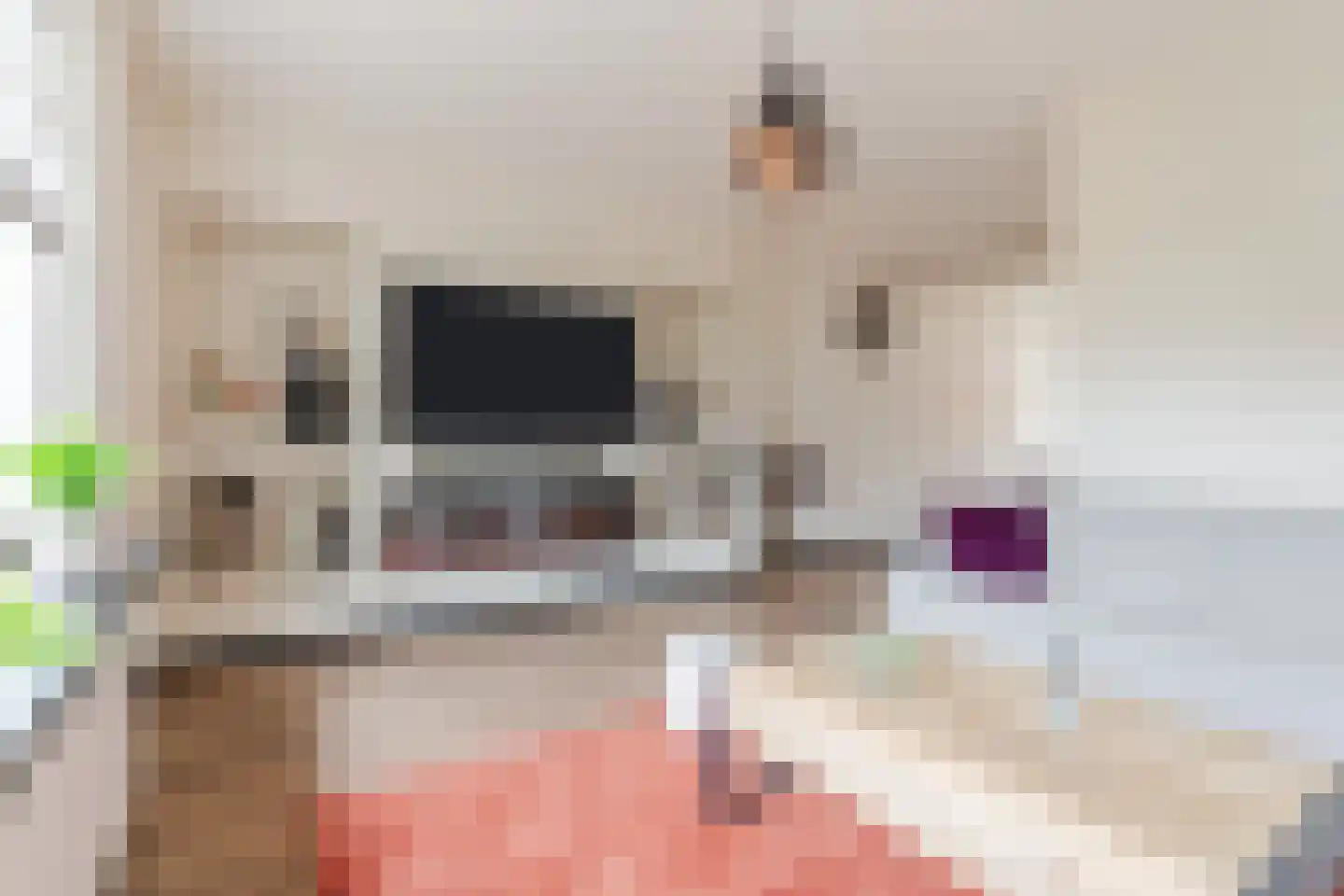 Pasakker 60 Someren thumbnail 7