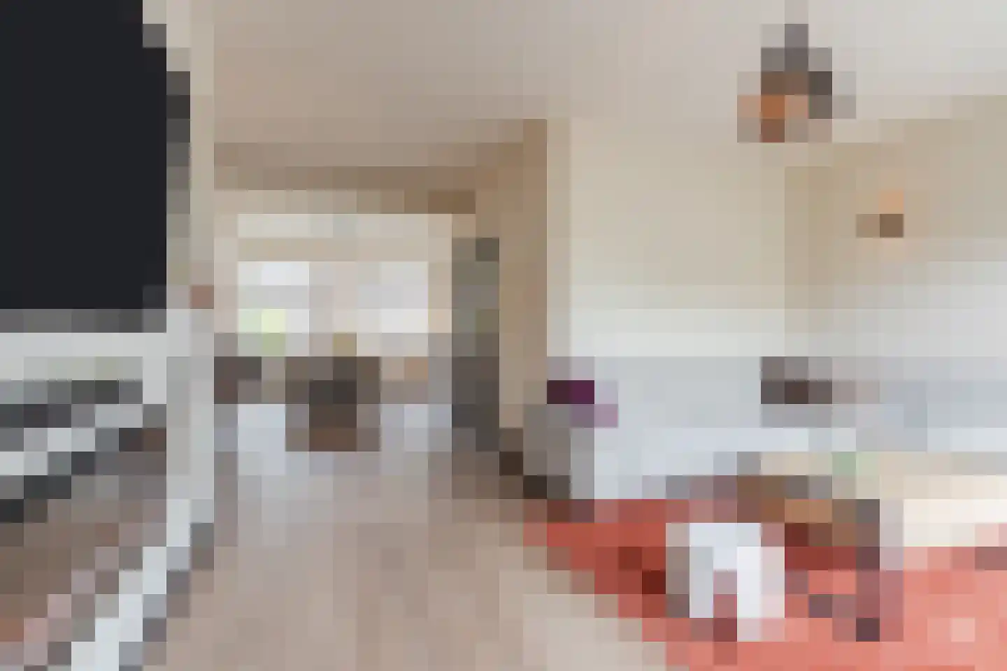 Pasakker 60 Someren thumbnail 8