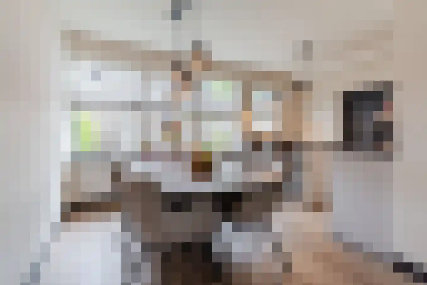 Pasakker 60 Someren thumbnail 9