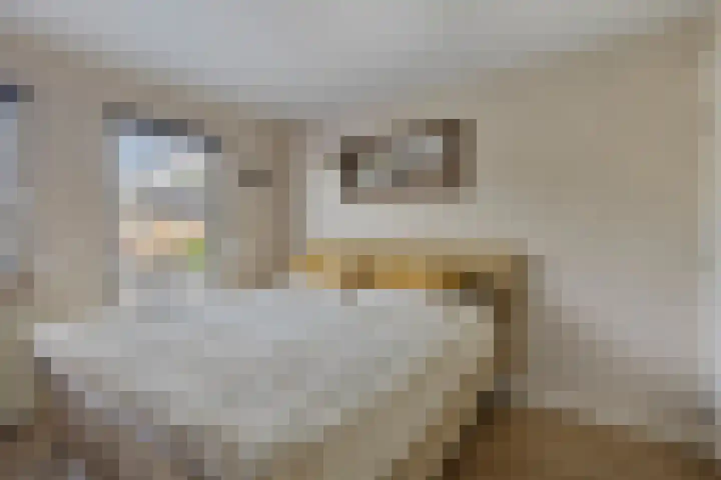Pasakker 95 Someren thumbnail 27