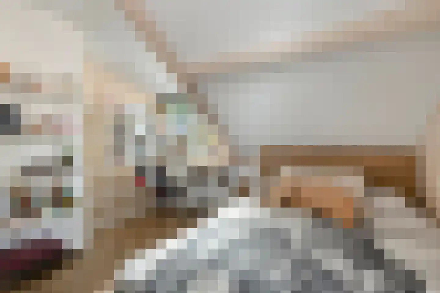 Pasakker 95 Someren thumbnail 30