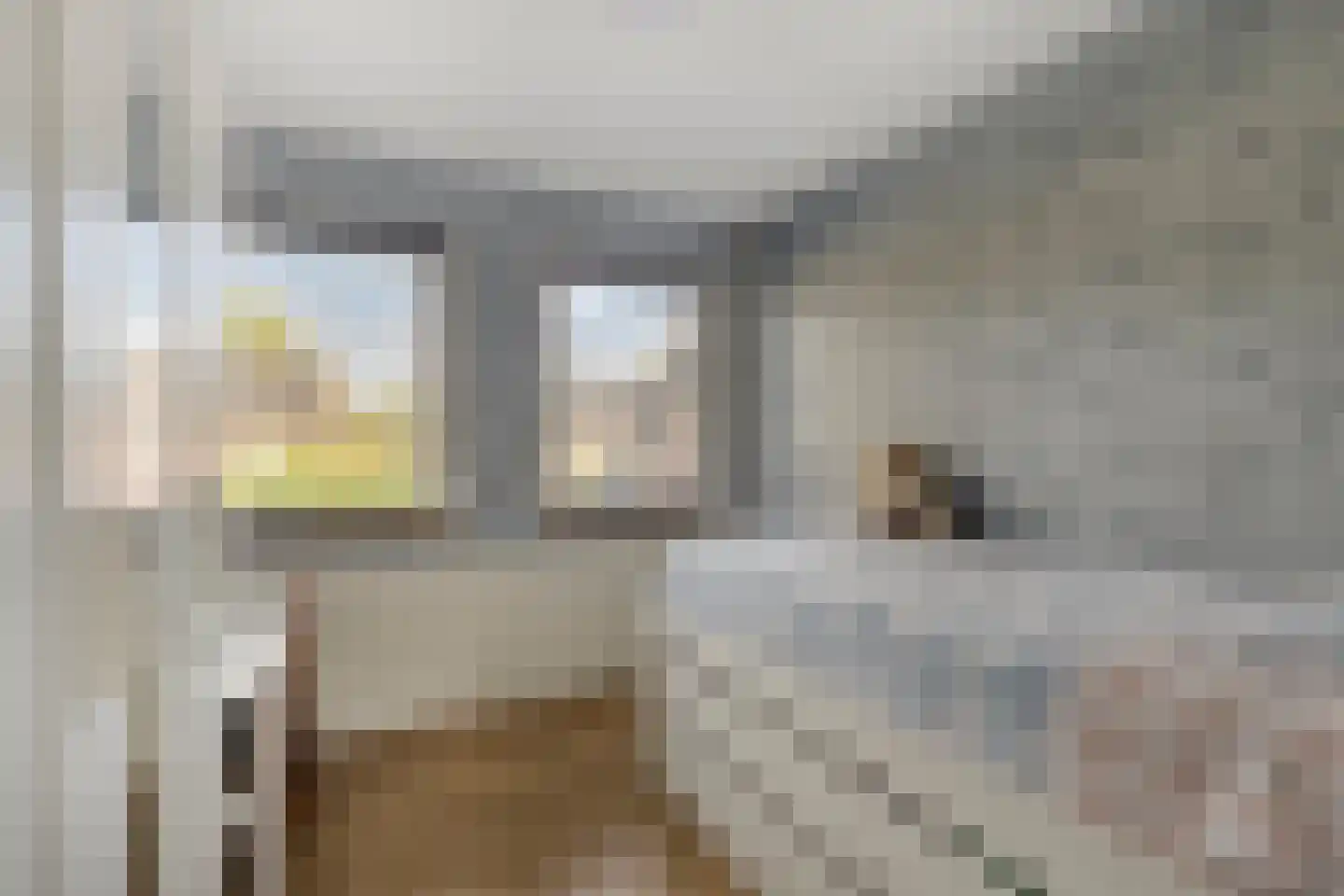 Pasakker 95 Someren thumbnail 31