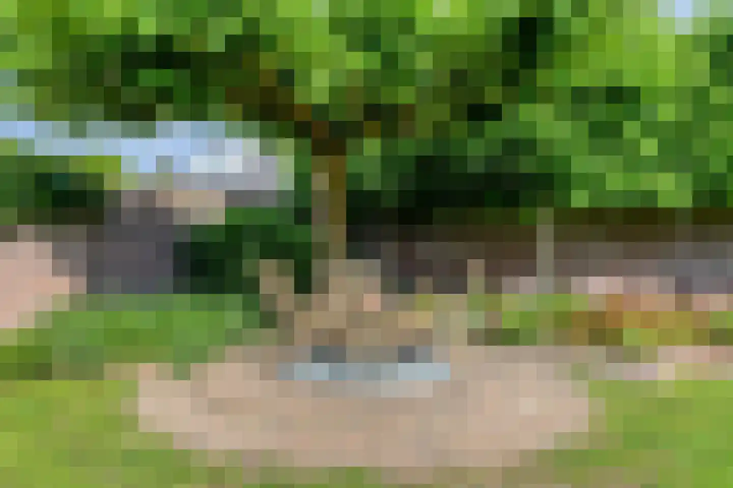 Pasakker 95 Someren thumbnail 39