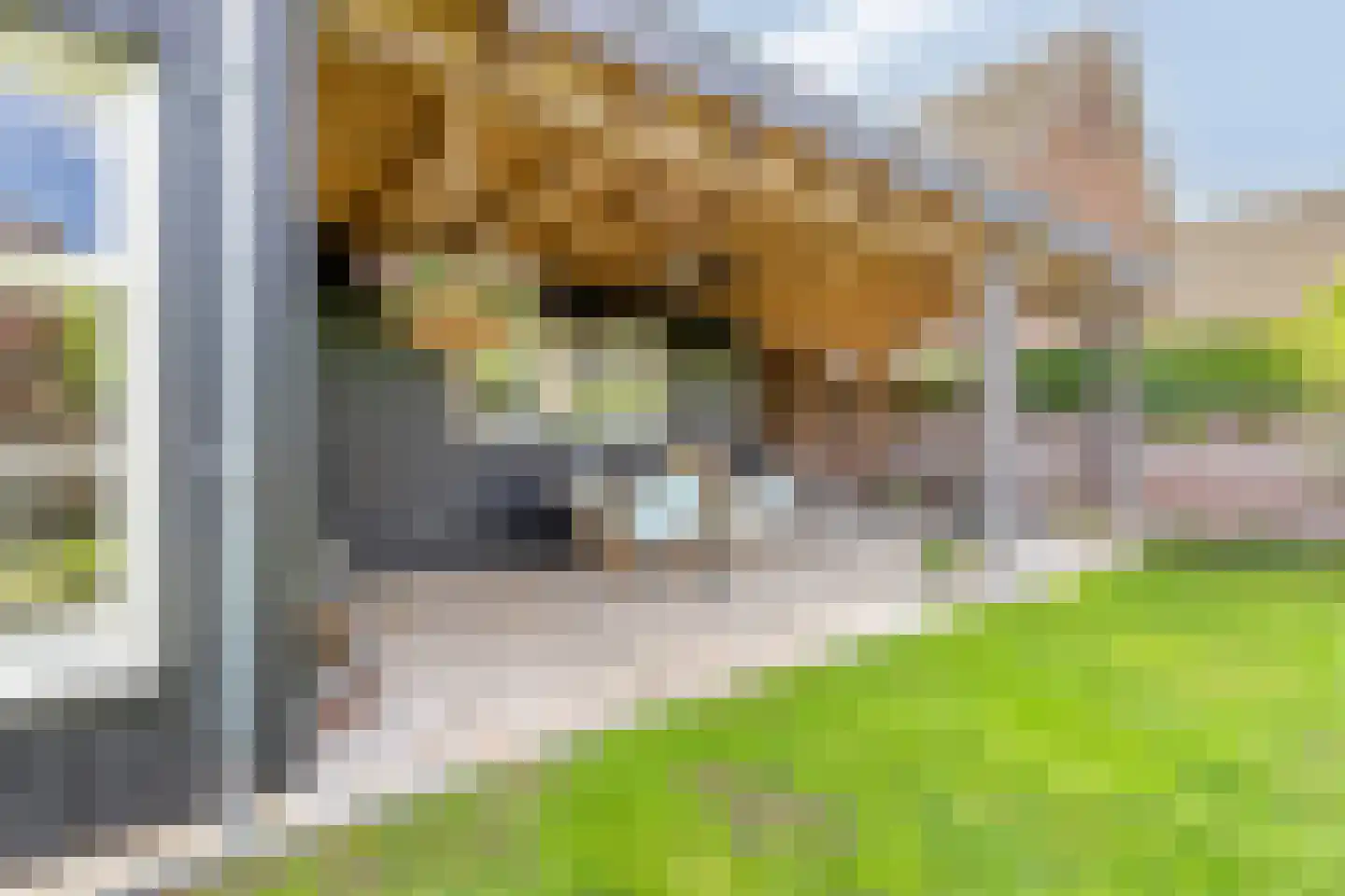Pasakker 95 Someren thumbnail 42
