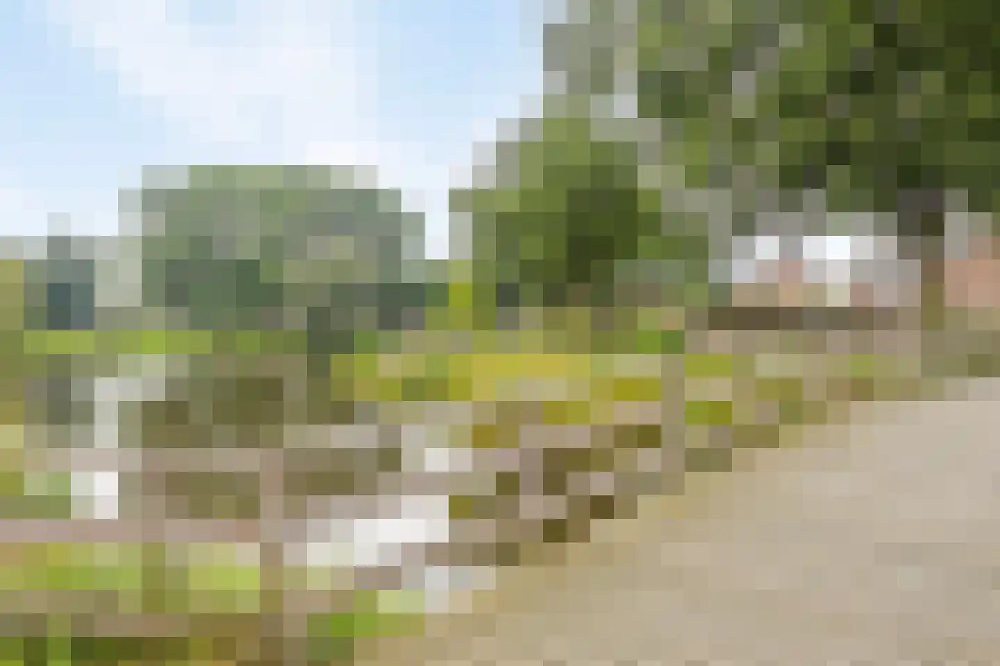 Pasakker 95 Someren thumbnail 43