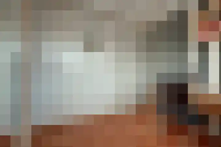 Pasbree 106 Winterswijk thumbnail 33