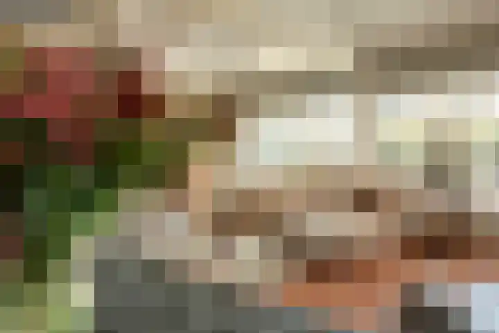 Pasbree 106 Winterswijk thumbnail 8