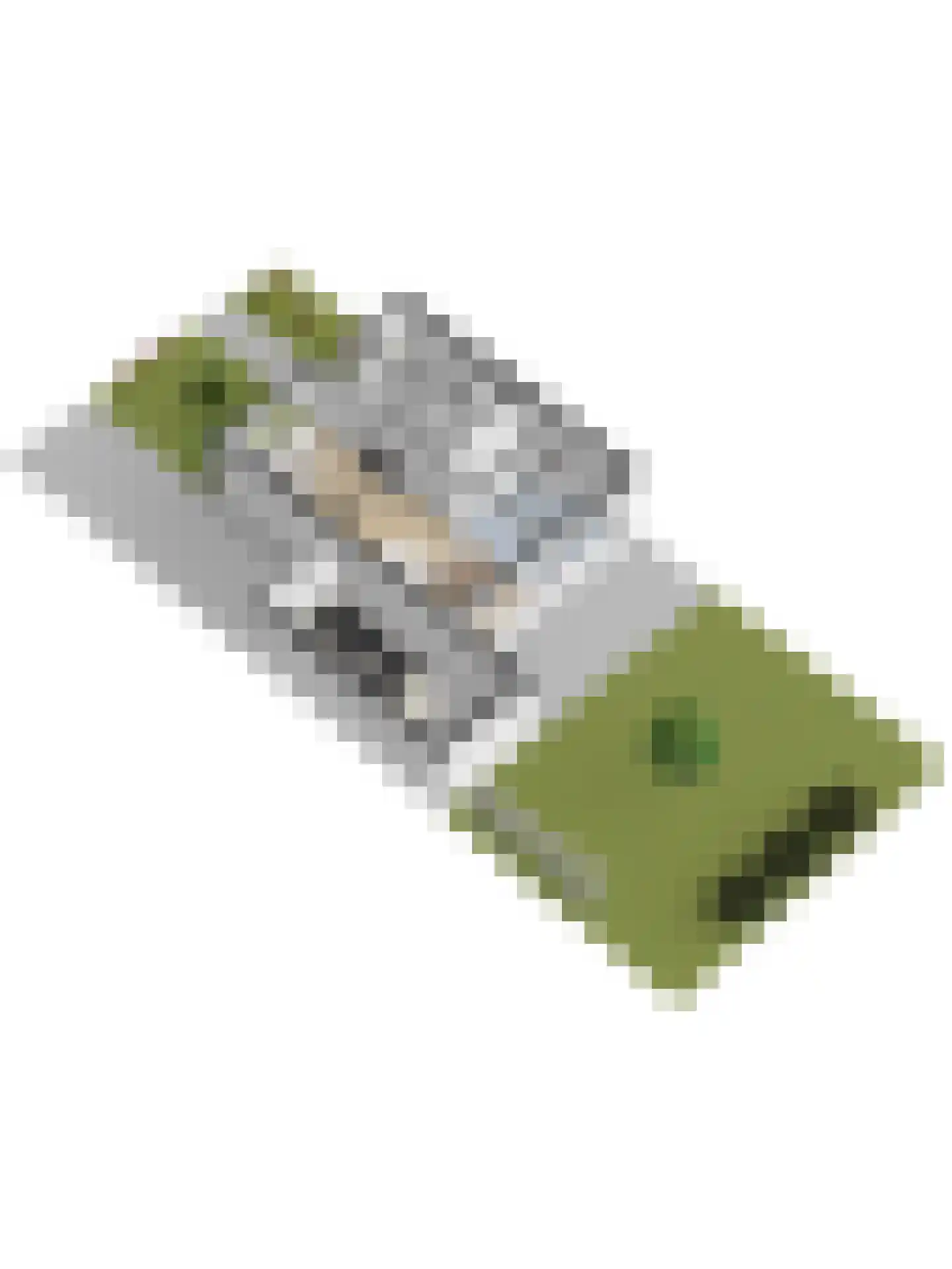 Pasbree 65 Winterswijk thumbnail 38