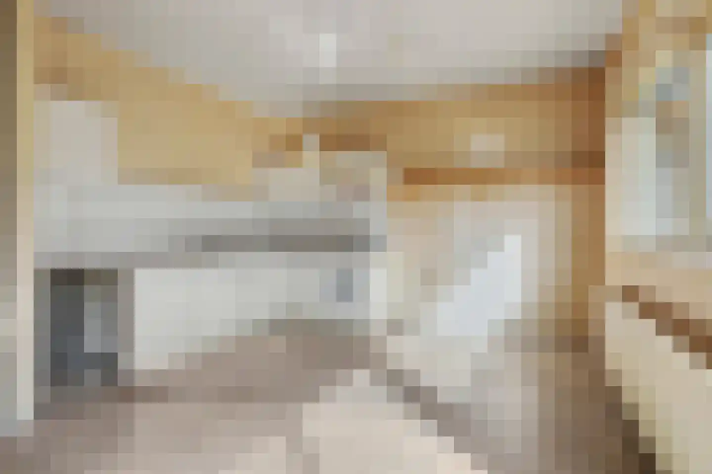 Pasbree 65 Winterswijk thumbnail 9