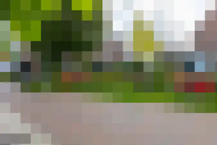 Pasbree 74 Winterswijk thumbnail 50