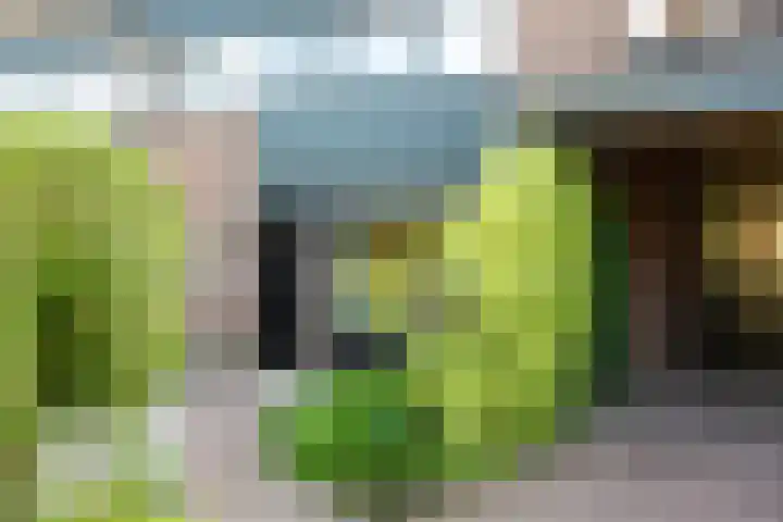 Pasbree 74 Winterswijk thumbnail 6