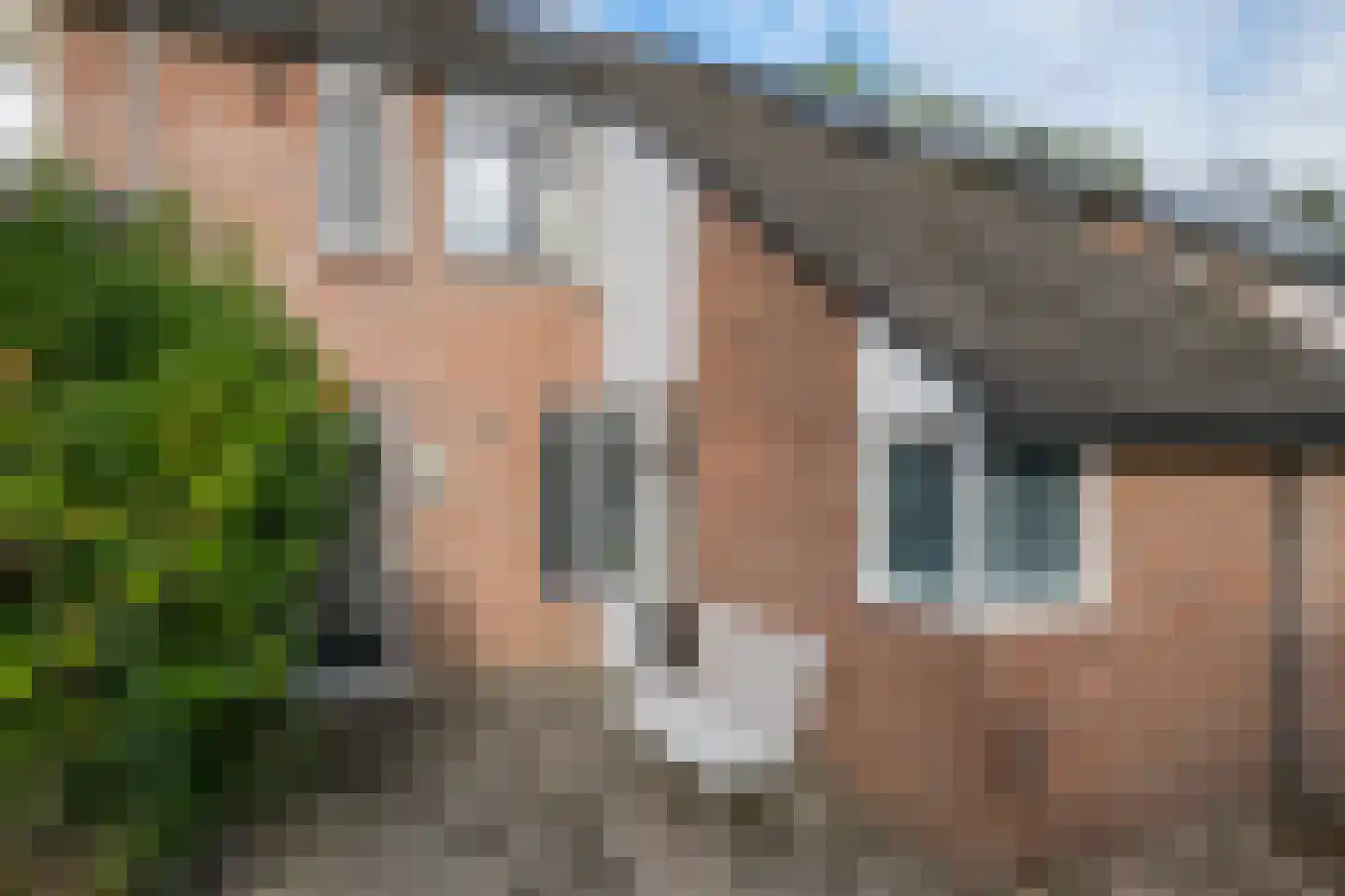 Pasbrink 68 in Winterswijk