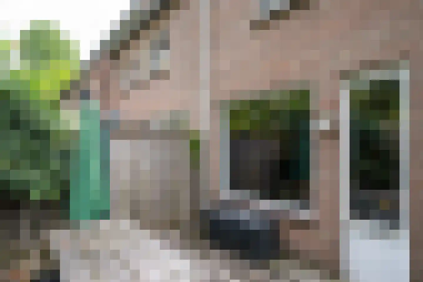 Pasbrink 68 Winterswijk thumbnail 50
