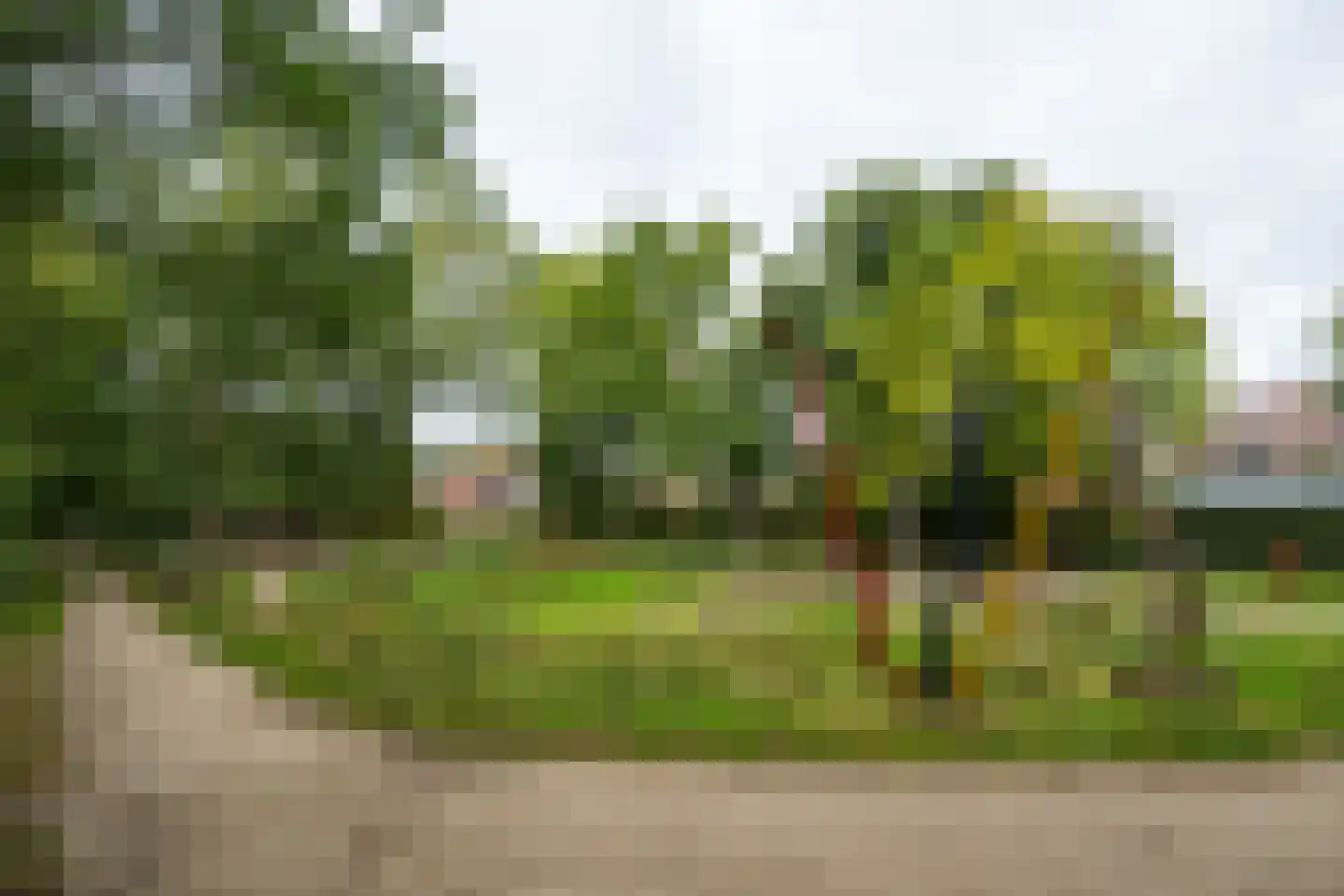 Pasbrink 68 Winterswijk thumbnail 53