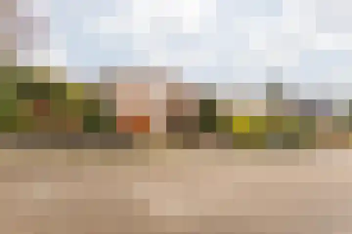 Pascal Visschersstraat 38 in Sweikhuizen