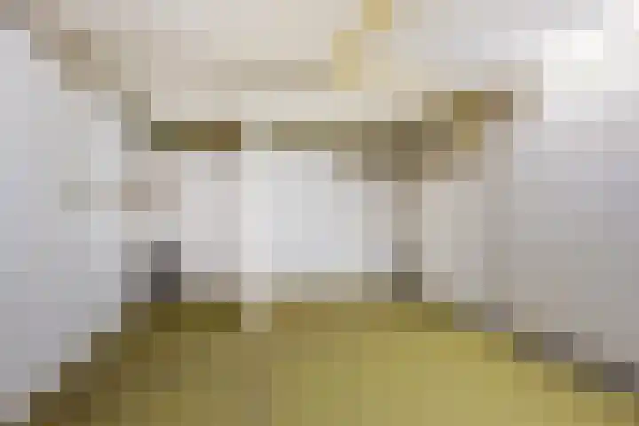 Pascal Visschersstraat 38 Sweikhuizen thumbnail 35