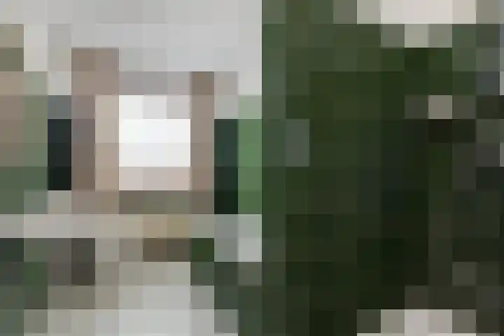 Pascal Visschersstraat 38 Sweikhuizen thumbnail 4